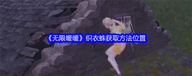 《无限暖暖》中织衣蛛的获取方法及位置