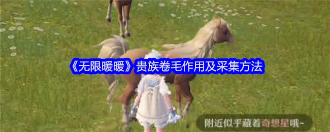 《无限暖暖》中贵族卷毛的作用与采集方式