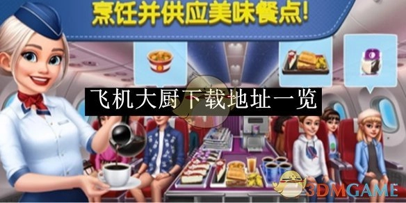 《飞机大厨》下载地址汇总