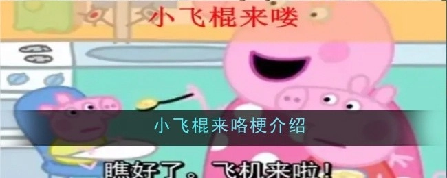 关于“小飞棍来咯”梗的介绍