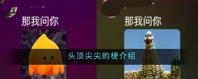 对头顶尖尖的梗进行介绍