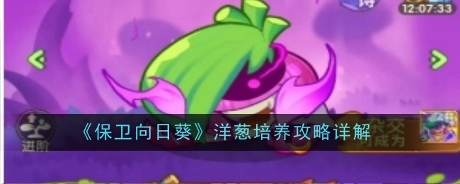 《保卫向日葵》之中洋葱培养攻略的详细解析