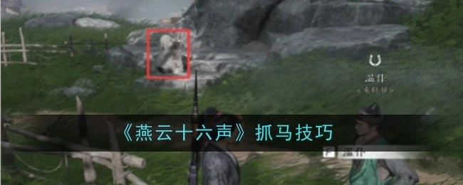 《燕云十六声》中抓马的技巧