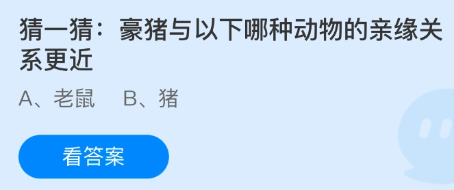 来猜猜看，豪猪和以下哪种动物的亲缘关系更为接近呢？