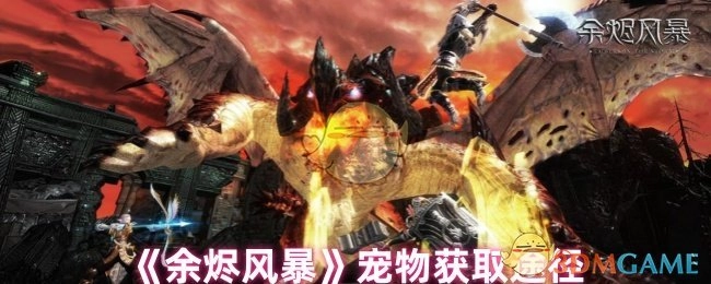 《余烬风暴》里宠物的获取方式