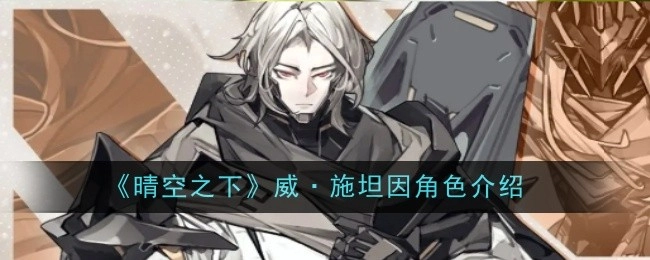 关于《晴空之下》中威·施坦因这一角色的介绍