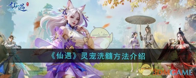 《仙遇》中灵宠洗髓的方法说明