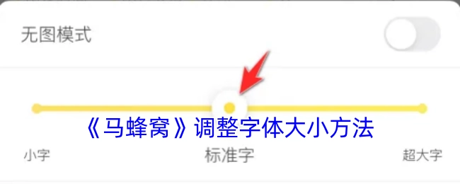 《马蜂窝》中字体大小的调整办法