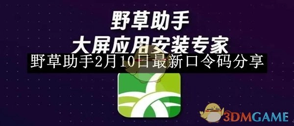 2月10日《野草助手》最新口令码分享