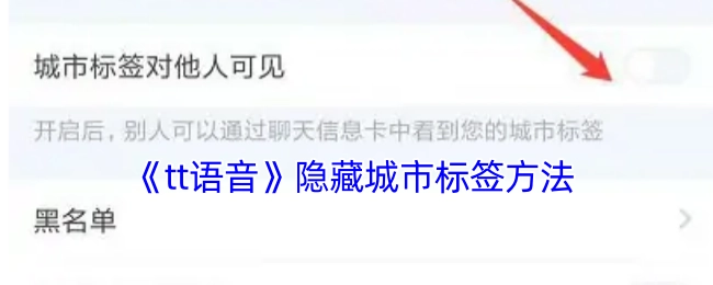 《tt语音》中隐藏城市标签的具体方法
