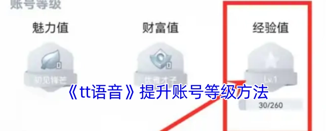 《tt语音》账号等级提升的办法