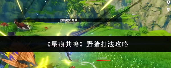 《星痕共鸣》中野猪打法的详细攻略
