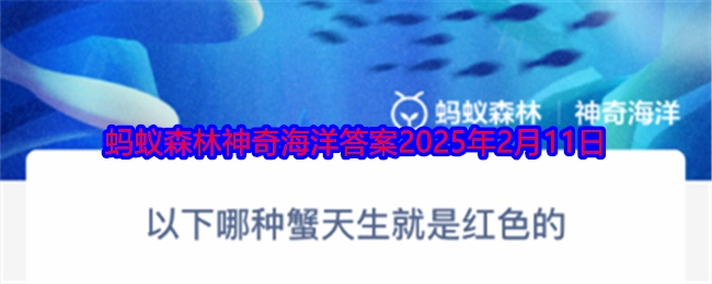 下面哪种蟹从出生起就是红色的？