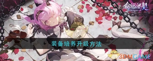 《命运圣契》中装备培养与升级的方式