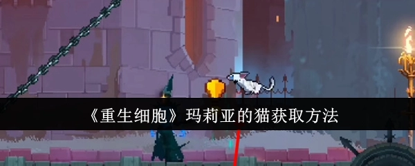 《重生细胞》中玛莉亚的猫怎么获取