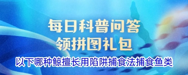 以下哪种鲸鱼善于运用陷阱捕食法来捕食鱼类？