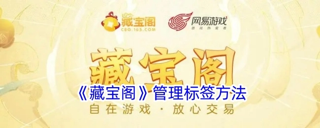 《藏宝阁》管理标签的方式