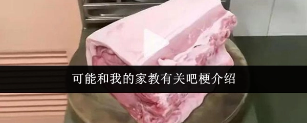 或许这和我的家教存在关联，以下是相关梗介绍