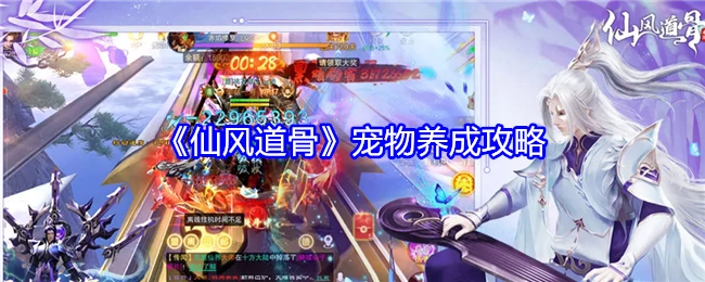 《仙风道骨》宠物培养攻略