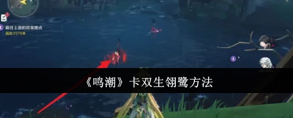 《鸣潮》中卡双生翎鹭的办法