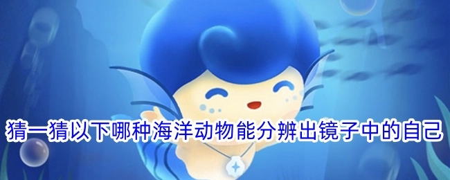 来猜猜看，下面哪种海洋动物可以辨别出镜子里的自己？