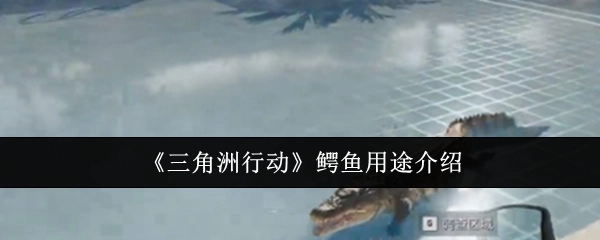 《三角洲行动》中鳄鱼的用途讲解
