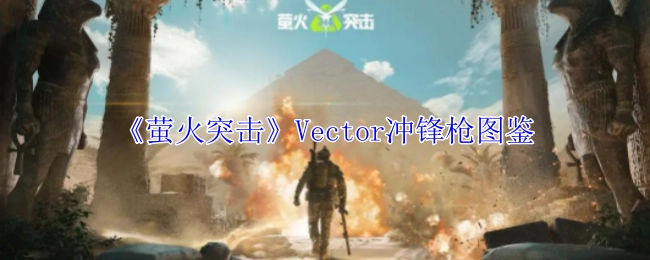 《萤火突击》中Vector冲锋枪的图鉴