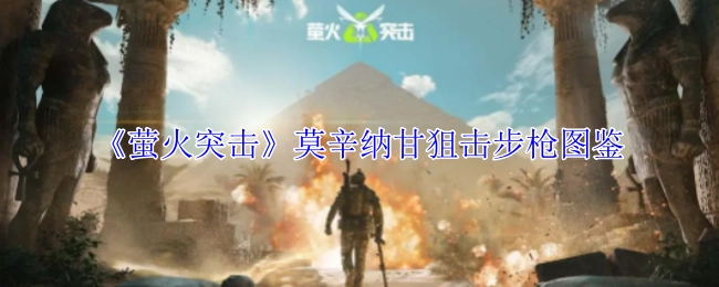 《萤火突击》中莫辛纳甘狙击步枪的图鉴