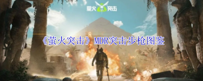 《萤火突击》里MDR突击步枪的图鉴