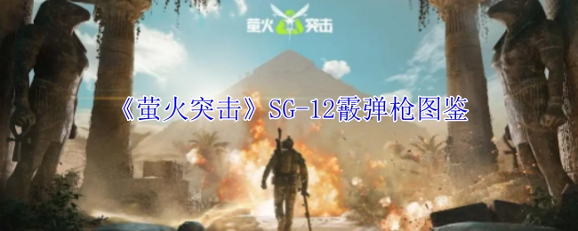 《萤火突击》中SG-12霰弹枪的图鉴