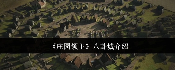 《庄园领主》中八卦城的介绍