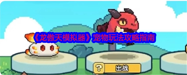 《龙傲天模拟器》宠物玩法详细攻略指引