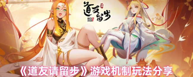 《道友请留步》游戏机制与玩法分享
