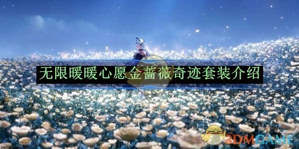 《无限暖暖》心愿金蔷薇奇迹套装相关介绍