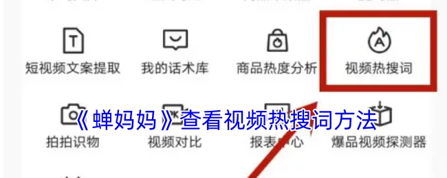 《蝉妈妈》中查看视频热搜词的方式