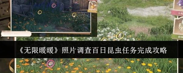 《无限暖暖》照片调查百日昆虫任务通关指南