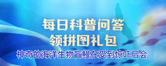 奇妙的海洋生物盲鳗在遭遇惊吓后会