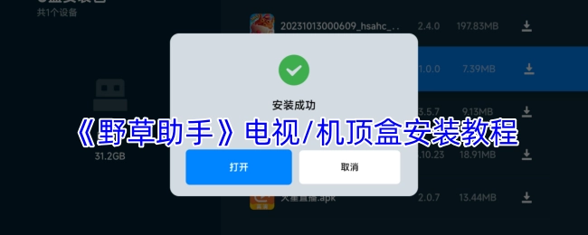 《野草助手》在电视或机顶盒上的安装教程
