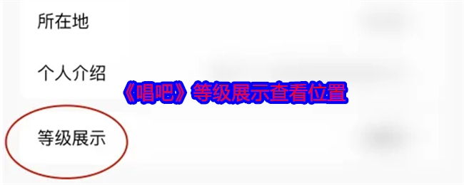 查看《唱吧》等级展示的位置