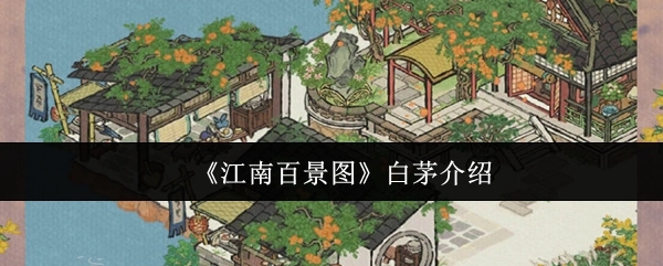 关于《江南百景图》中白茅的介绍