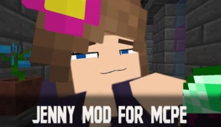 珍妮模组jenny安装包(4)