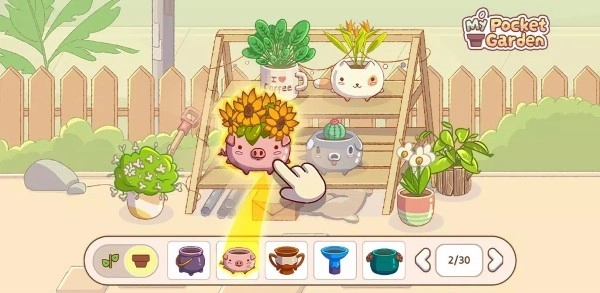 我的口袋花园-图2
