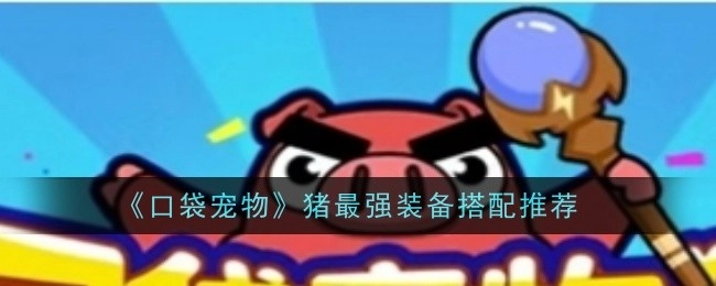 《口袋宠物猪》超神装备搭配攻略分享