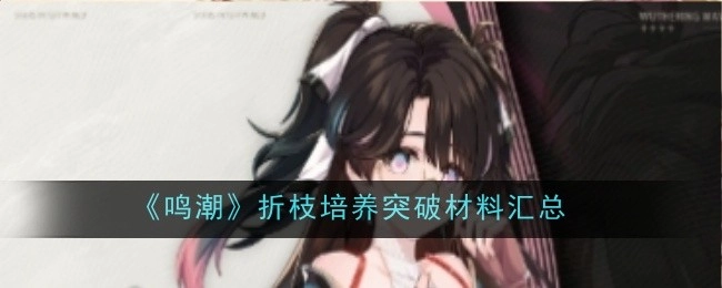 《鸣潮》折枝培养所需突破材料全汇总