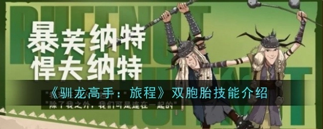 《驯龙高手：旅程》中双胞胎技能的详细介绍