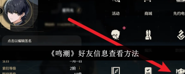 《鸣潮》中查看好友信息的方式