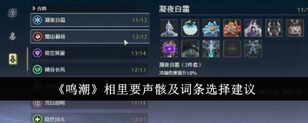 《鸣潮》中相里要声骸及词条的选择建议分享