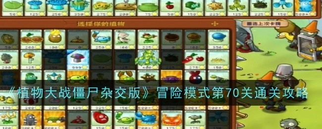 《植物大战僵尸杂交版》冒险模式第七十关通关攻略