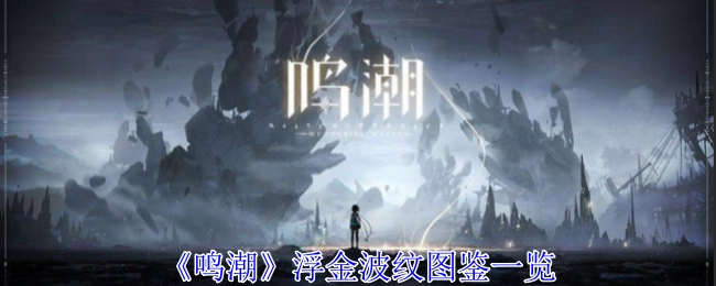 《鸣潮》浮金波纹图鉴全览