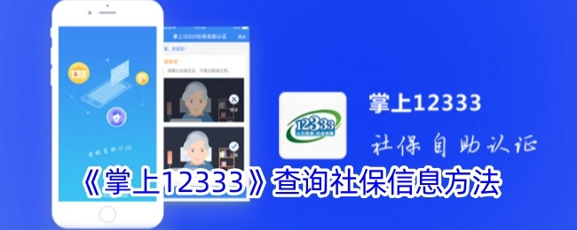 查询社保信息的《掌上12333》方法